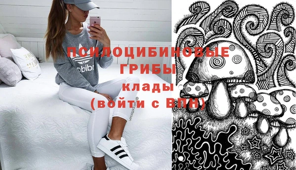 крисы Алексеевка