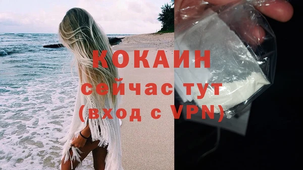 дживик Абинск