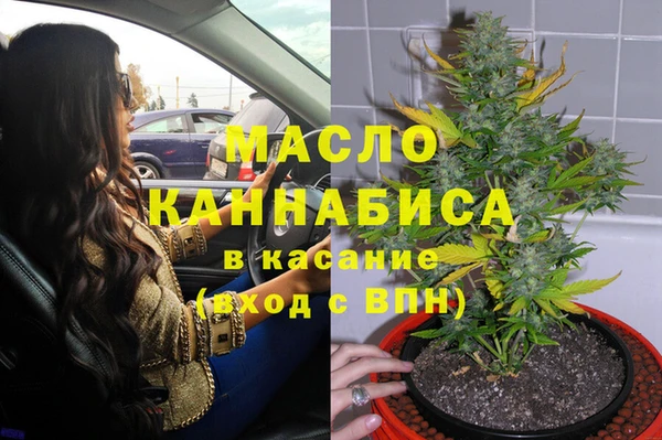 дживик Абинск