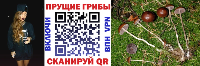 Галлюциногенные грибы прущие грибы Ужур